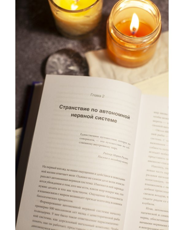 Тело на твоей стороне. Как сделать нервную систему своим союзником в достижении спокойствия