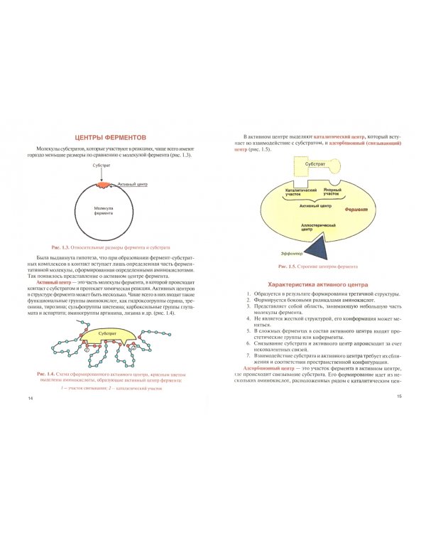 Общая и медицинская энзимология. Учебник