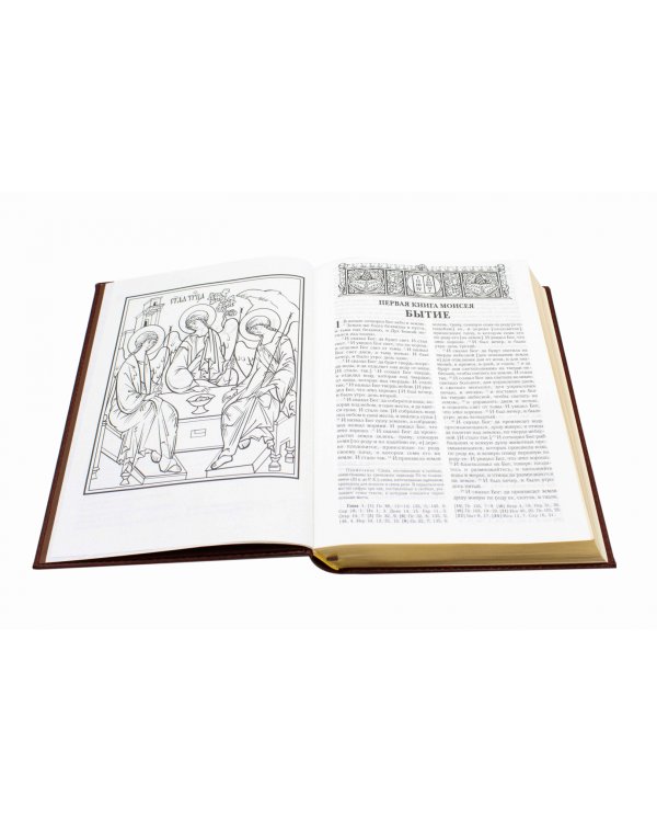 Библия. Книги Священного Писания Ветхого и Нового Завета (золотой обрез)