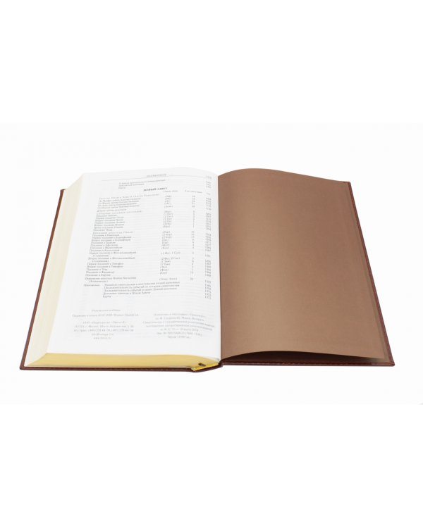 Библия. Книги Священного Писания Ветхого и Нового Завета (золотой обрез)