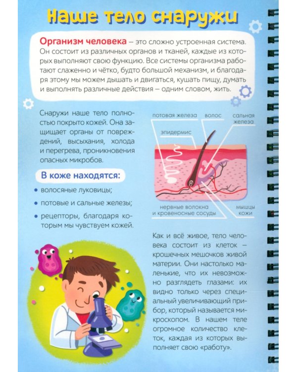 Умная книжка с фонариком Моё тело