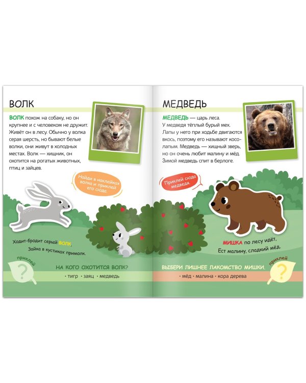Жители леса. Читай, играй, узнавай