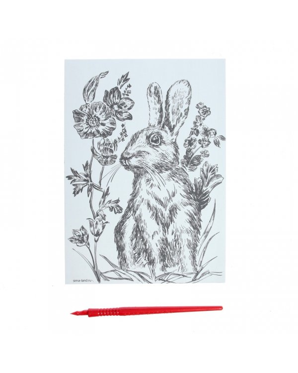 Гравюра Кролик на лугу, A5