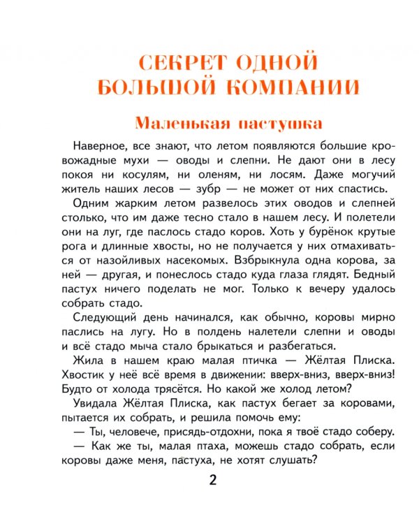 Секрет одной большой компании