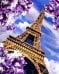 Рисование по номерам Эйфелева башня