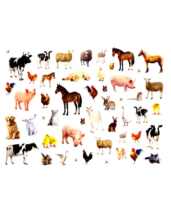 Животные фермы и леса, 250 наклеек