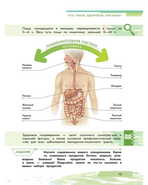 Я питаюсь правильно! 14+