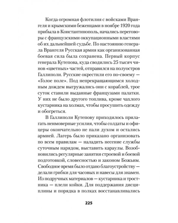 Россия в огне Гражданской войны