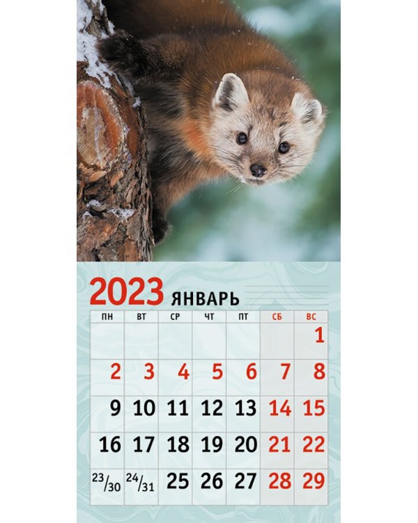 Календарь настенный перекидной на 2023 год Дикие животные 2
