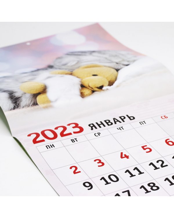 Календарь настенный перекидной на 2023 год Домашние любимцы 5