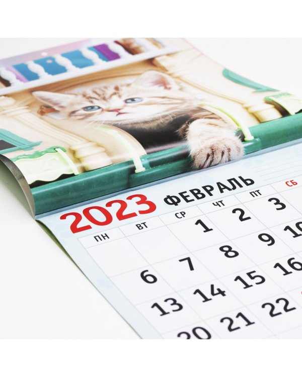 Календарь настенный перекидной на 2023 год Домашние любимцы 5