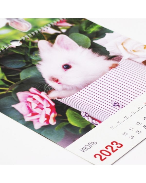 Календарь настенный перекидной на 2023 год Символ года 3 
