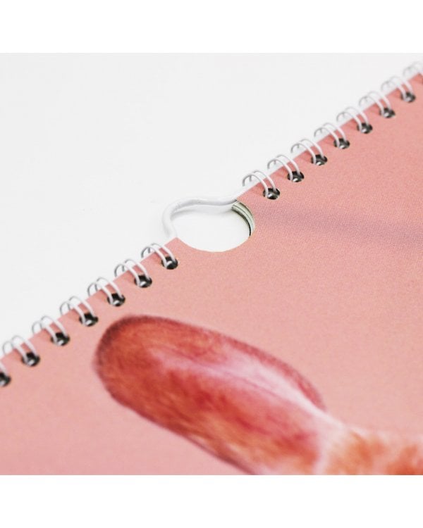 Календарь настенный перекидной на 2023 год Символ года 3 