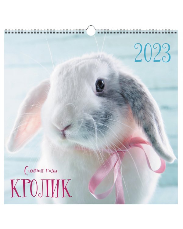 Календарь настенный перекидной на 2023 год Символ года 3 