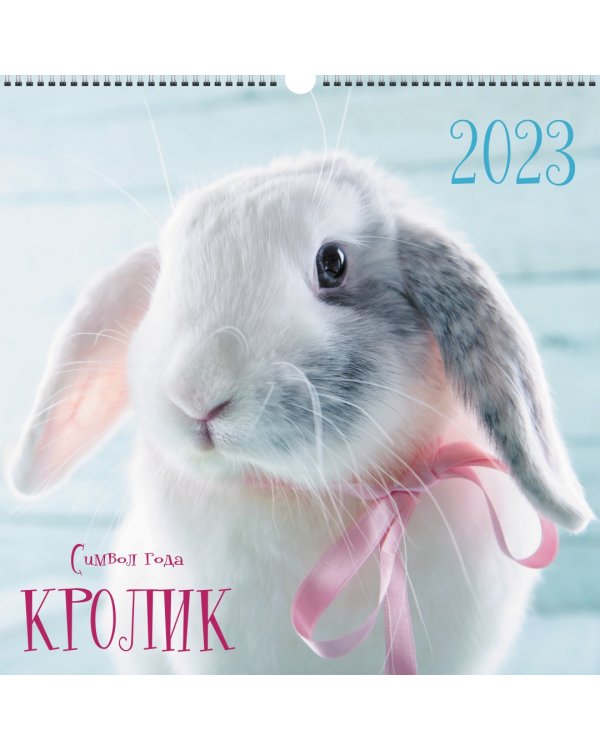 Календарь настенный перекидной на 2023 год Символ года 3 