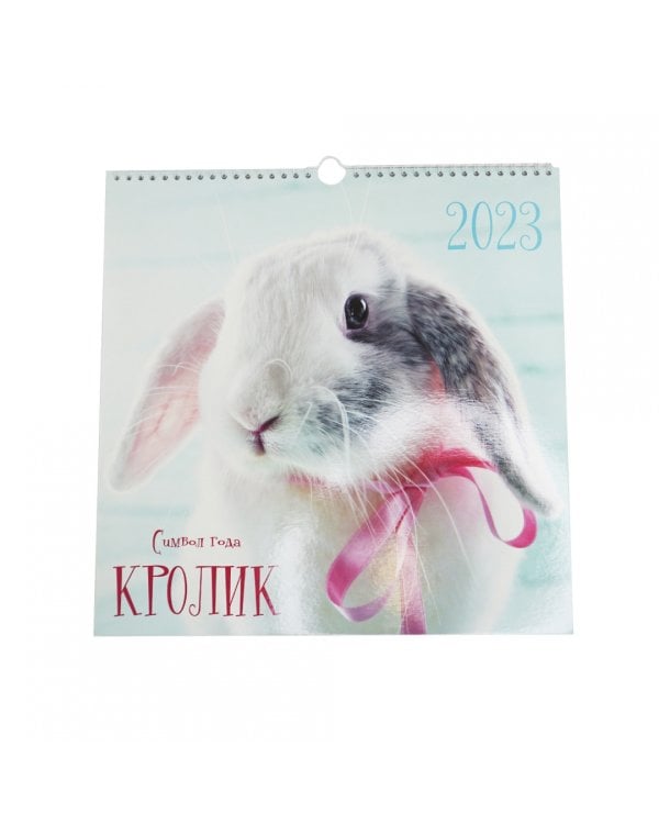 Календарь настенный перекидной на 2023 год Символ года 3 