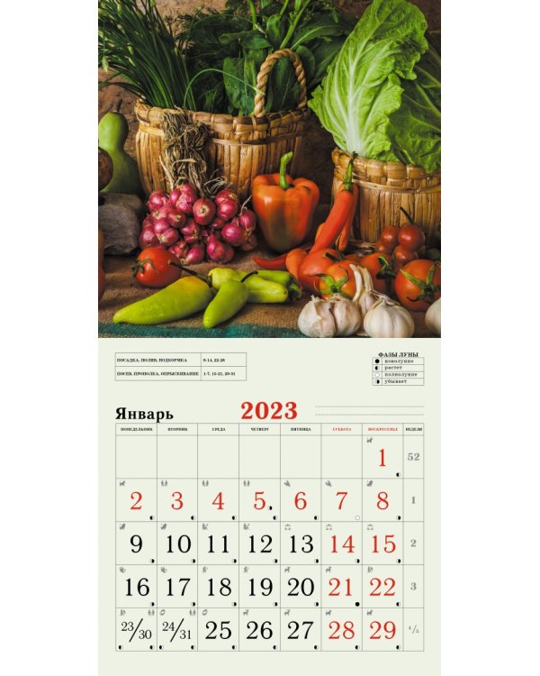 Календарь настенный перекидной на 2023 год Сад и огород 1