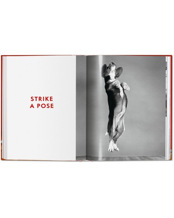 Dogs. Photographs 1941–1991