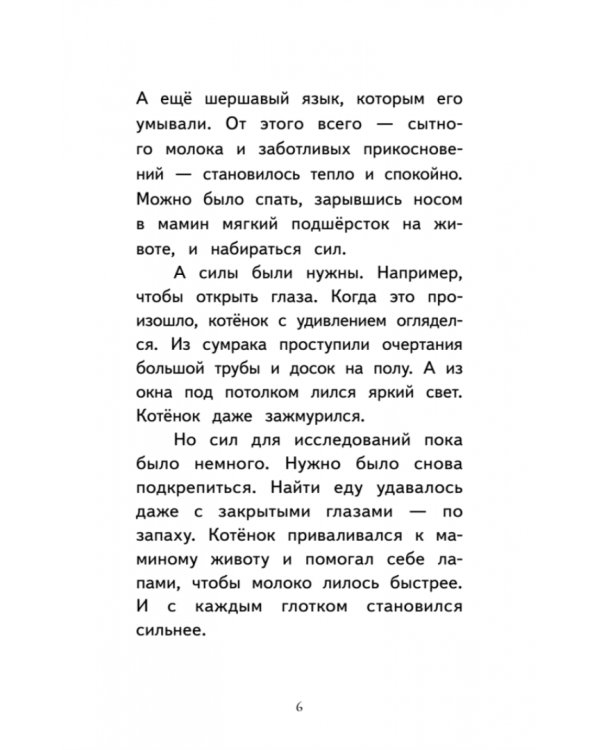 Котёнок Лео, или Друзей не бросают