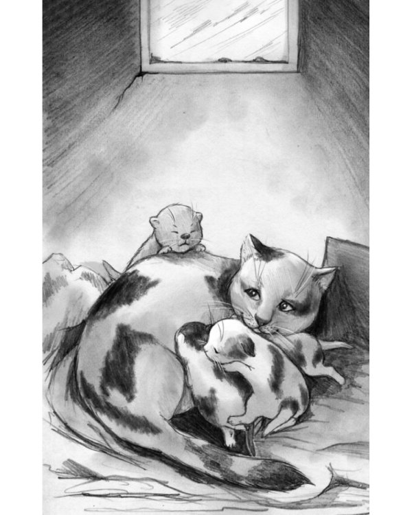 Котёнок Лео, или Друзей не бросают