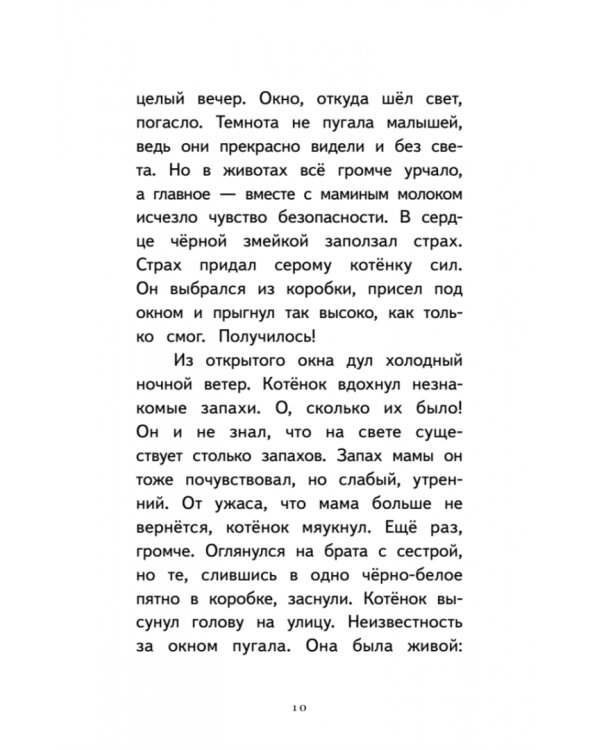 Котёнок Лео, или Друзей не бросают