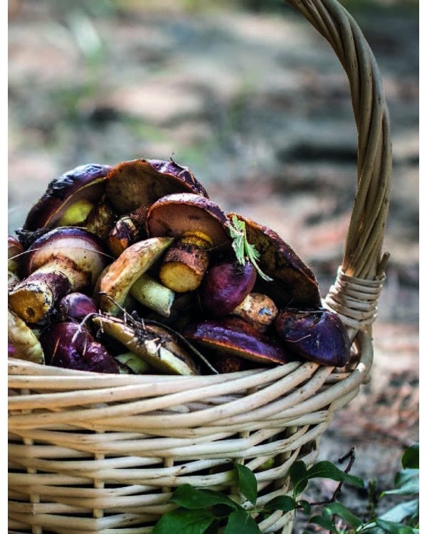 Вкусный год. Чудесные пироги, десерты и закуски с вареньями и маринадами
