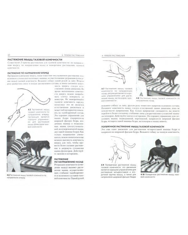 Массаж собак. Практическое руководство
