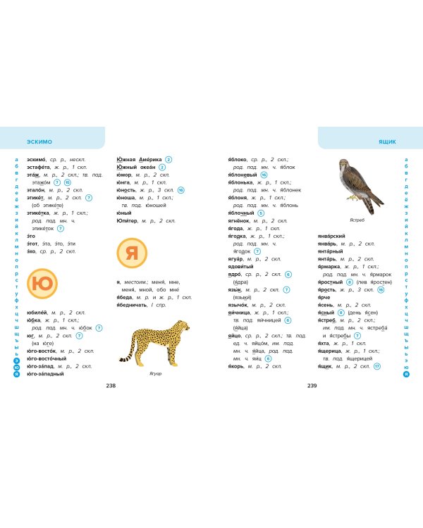 Объяснительный орфографический словарь. Как правильно писать слова?