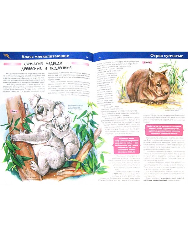 Новая иллюстрированная энциклопедия животного мира