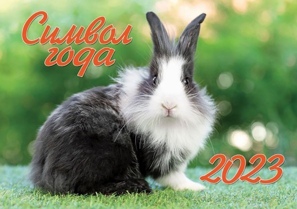 Календарь на 2023 год настенный Символ года 1. Кролик