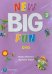 DVD. New Big Fun. Level 3. DVD Video