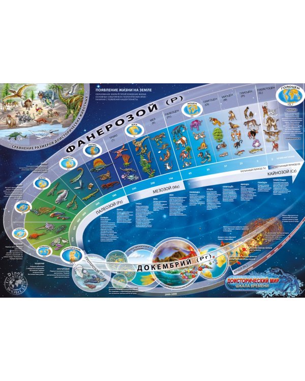 Двусторонняя детская карта мира. Динозавры