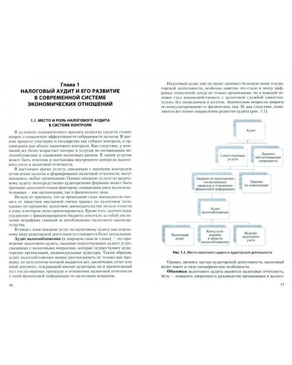 Налоговый аудит. Учебник