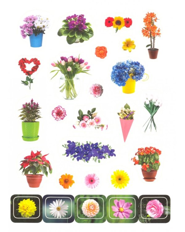 Цветочки