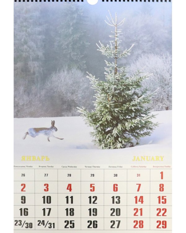 Календарь настенный на 2023 год. Ушки на макушке