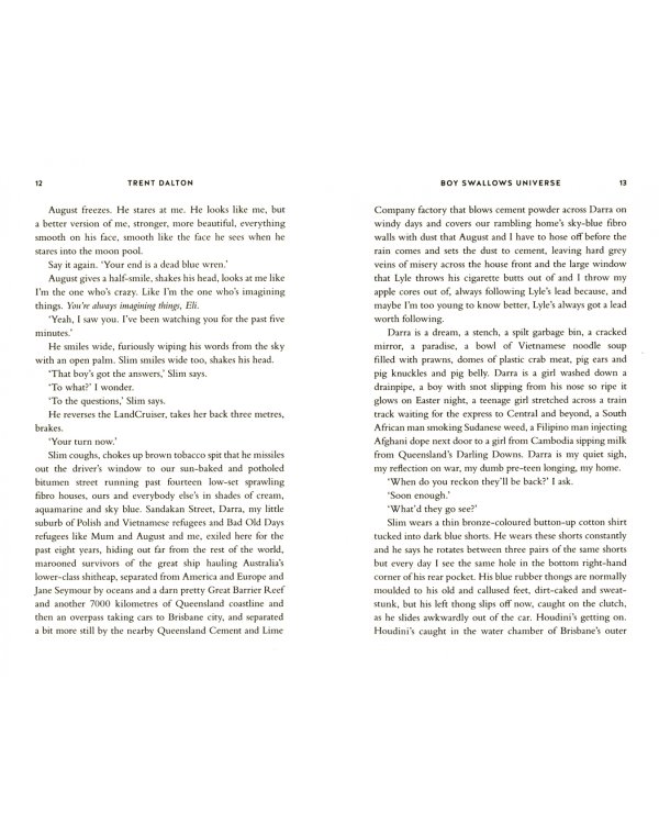 Boy Swallows Universe