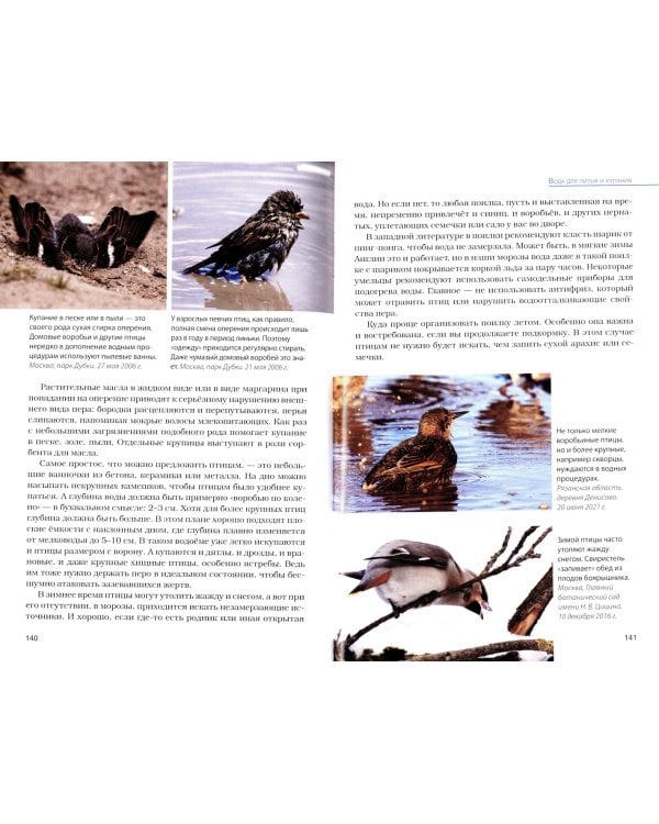 Птицы на кормушках. Подкормка и привлечение