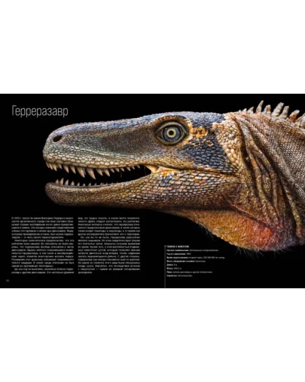 Динозавры. Профили затерянного мира. Энциклопедия