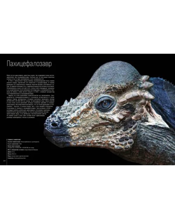 Динозавры. Профили затерянного мира. Энциклопедия