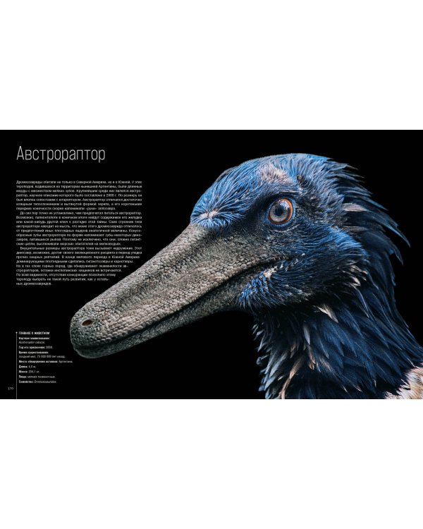 Динозавры. Профили затерянного мира. Энциклопедия