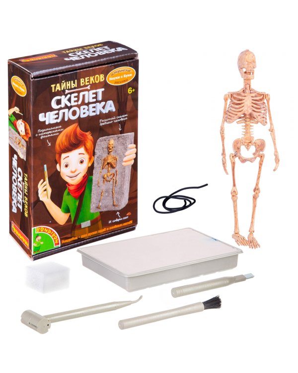 Исторические раскопки. Тайны веков. Скелет человека