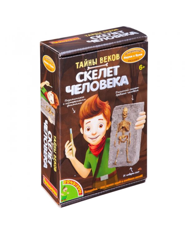 Исторические раскопки. Тайны веков. Скелет человека