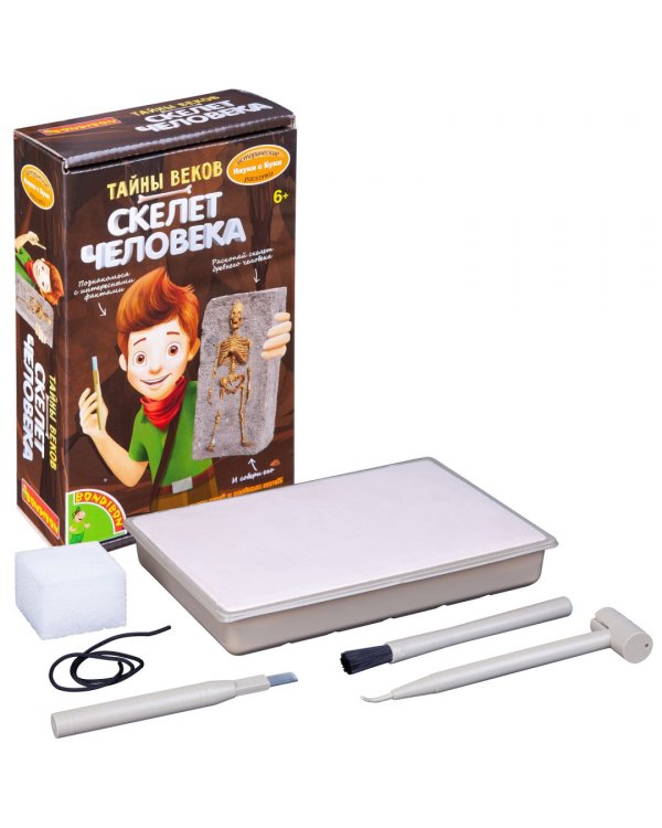 Исторические раскопки. Тайны веков. Скелет человека