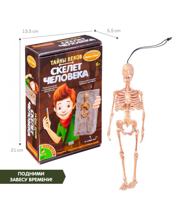 Исторические раскопки. Тайны веков. Скелет человека