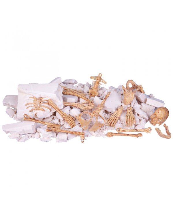 Исторические раскопки. Тайны веков. Скелет человека