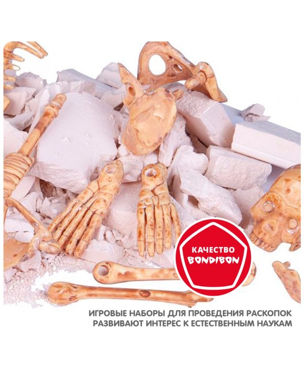 Исторические раскопки. Тайны веков. Скелет человека