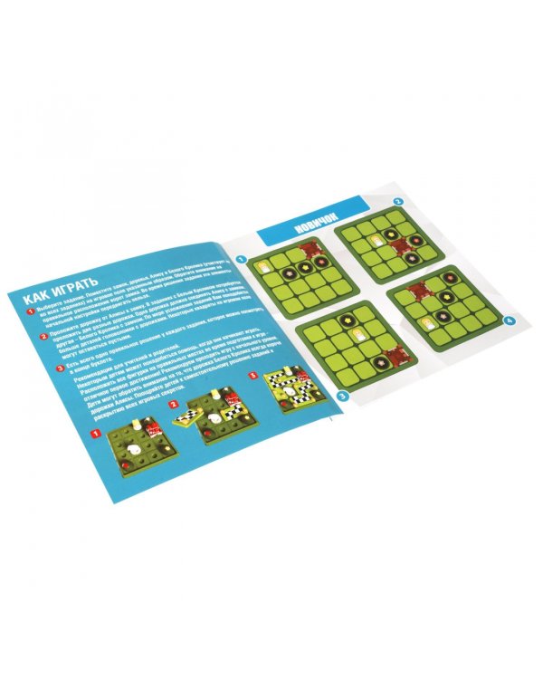 Настольная логическая игра-головоломка. Алиса в сказочном королевстве