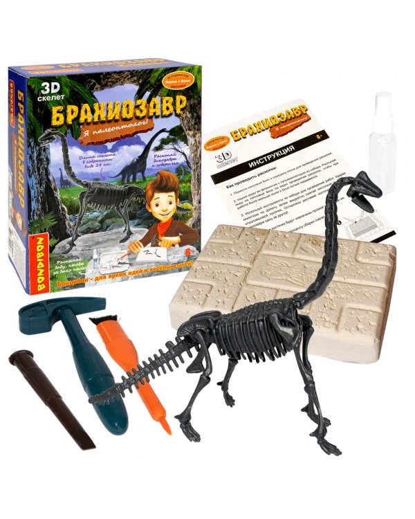 Набор палеонтолога. Динозавр. Брахиозавр