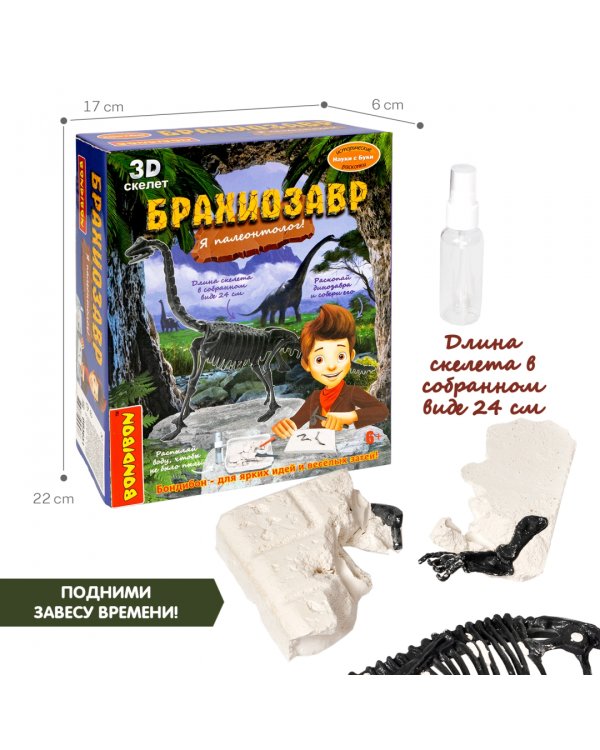 Набор палеонтолога. Динозавр. Брахиозавр