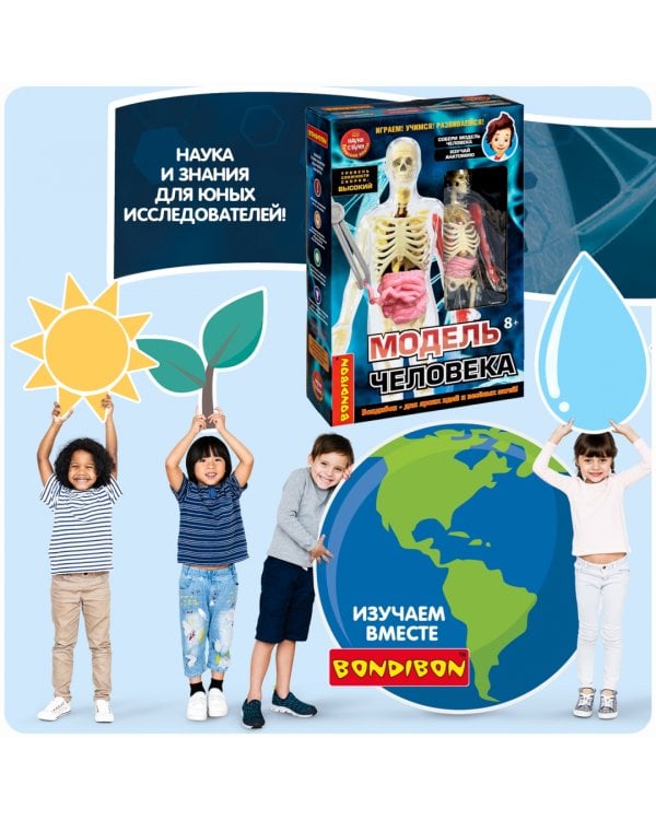 Набор для опытов. Модель человека